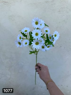 شاخه بابونه ۱۶ گل