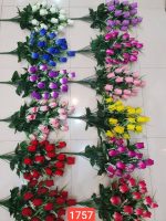 بوته ۲۴ گل مخمل