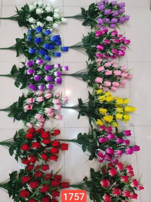 بوته ۲۴ گل مخمل