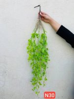 آویز پاپیتال لمسی خارجی