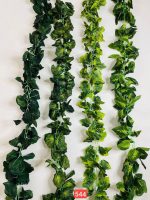 ریسه برگ اعلا