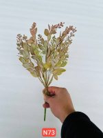 بوته برگ ریحونی پودری ( پک 12 تایی )