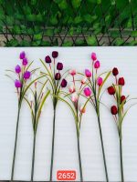 شاخه لاله ۵ گل وارداتی (پک 12تایی )