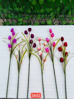 شاخه لاله ۵ گل وارداتی (پک 12تایی )