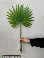 برگ پالم سایز ۷۵ سانت