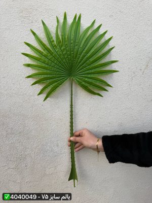 برگ پالم سایز ۷۵ سانت