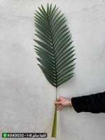 برگ کنتیا سایز ۱۰۵