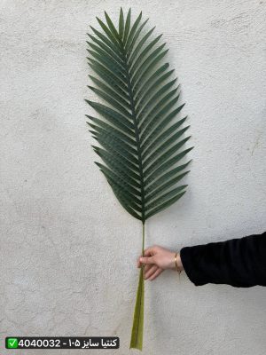 برگ کنتیا سایز ۱۰۵