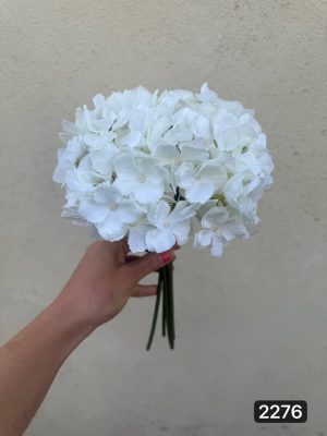 دسته هورتانسیا وحشی