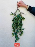 آویز پرتقالی وارداتی