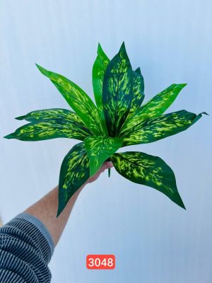 بوته باکسی  ۱۲ برگ