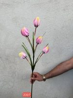 شاخه لاله آناناسی ۵ گل (پک 12تایی )