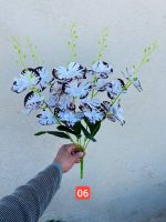 بوته ارکیده لمسی ۲۰ گل وارداتی