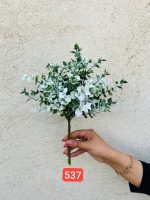 بوته شمشاد ساده