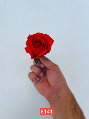 سرگل رز پارچه اعلا ( پک 25 تایی )