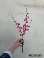 شاخه شکوفه ژاپنی