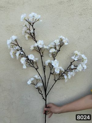 شکوفه گیلاس پرطرفدار