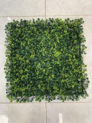 نیلوفری ابلق