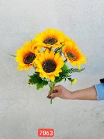 بوته آفتابگردان ۷ گل بزرگ سوپر