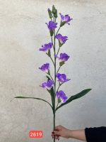 شاخه گلایل وارداتی (پک 12تایی )