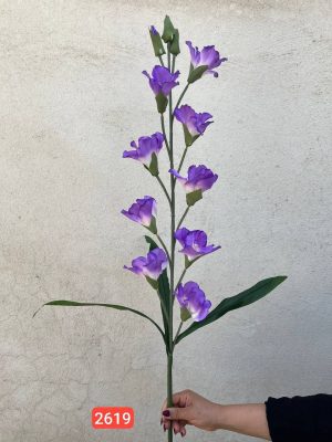 شاخه گلایل وارداتی (پک 12تایی )