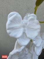 شاخه ارکیده فومی ۸ گل