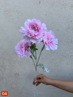 شاخه سوسن یخی