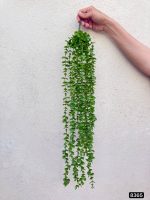 آویز ششماد 14 بازو روشن