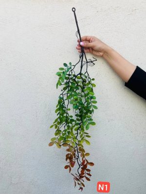 آویز برگ خرفه