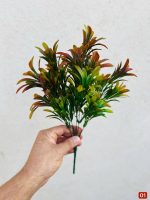 رزماری 5 بازو