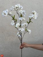 شکوفه هلو خارجی