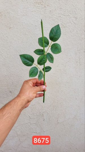 ساقه با برگ خارجی (پک 50 تایی )