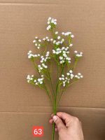 شاخه عروس وارداتی