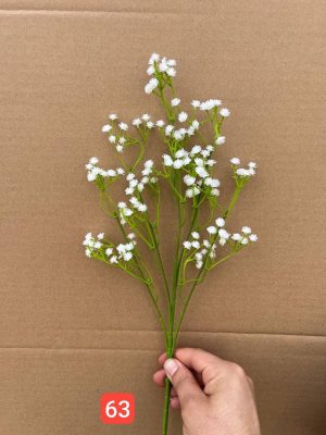 شاخه عروس وارداتی