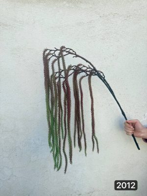 آویز لوندر سبز بلند