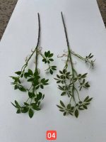 شاخه شفلورا وارداتی