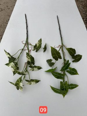 شاخه برگ سینگینیوم کوچک وارداتی