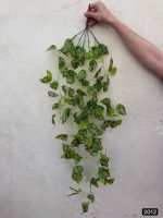 آویز برگ لمسی وارداتی