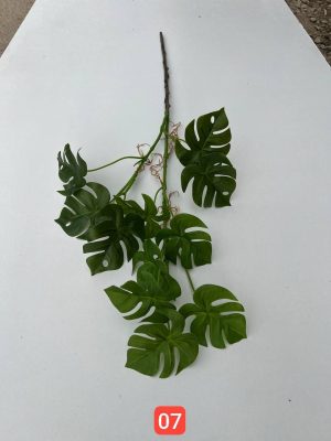 شاخه برگ انجیری وارداتی