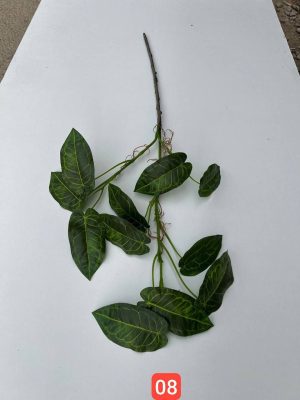 شاخه برگ سینگینیوم بزرگ وارداتی