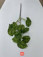 شاخه برگ پتوس وارداتی