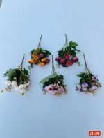 بوته نسترن ( پک 12 تایی)