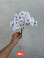 شاخه بابونه وارداتی