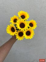 بوته آفتابگردان ۷ گل