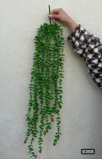 آویز شمشاد گلدار