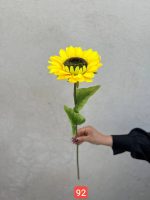 شاخه افتاب تک گل