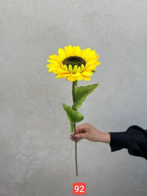 شاخه افتاب تک گل