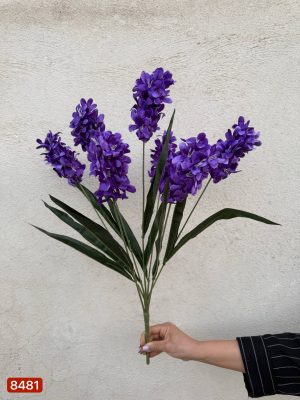 بوته سنبل ۷ گل ۶۰ سانت بزرگ