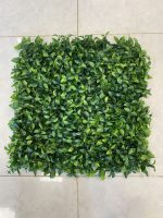 پرتغالی ابلق