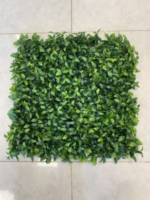 پرتغالی ابلق